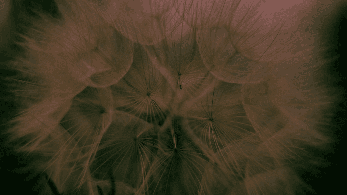 Quick Start Quick Start